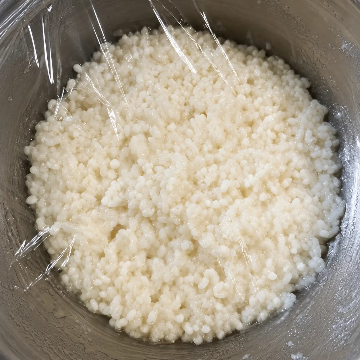 Amazake fermentation