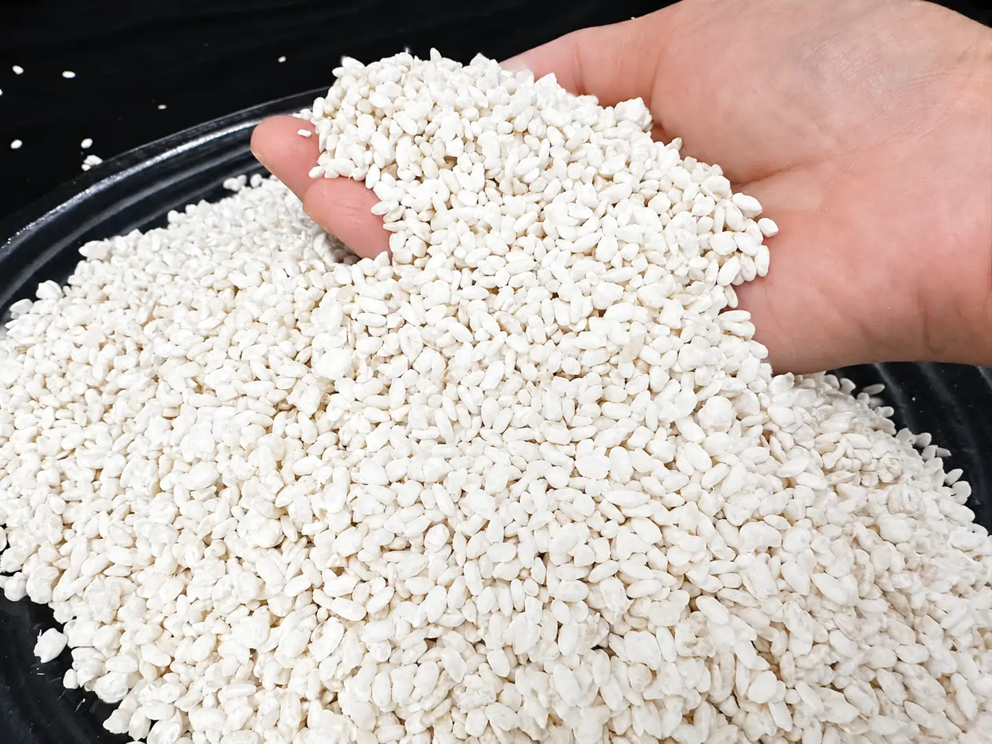 Macro Rice